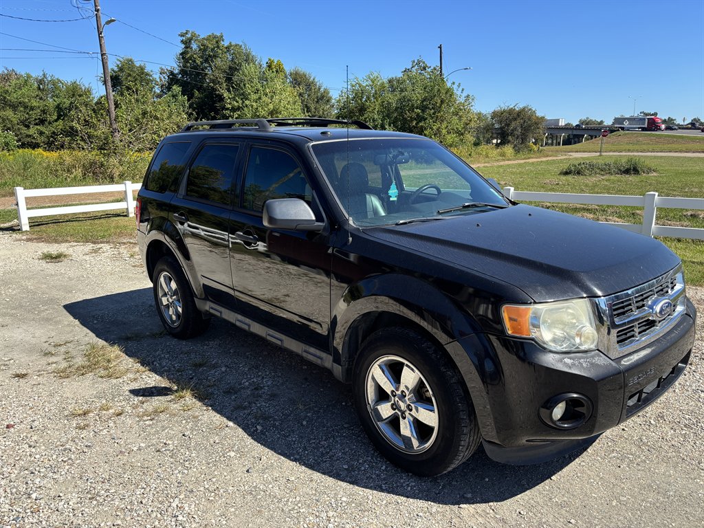 2011 Ford Escape XLT